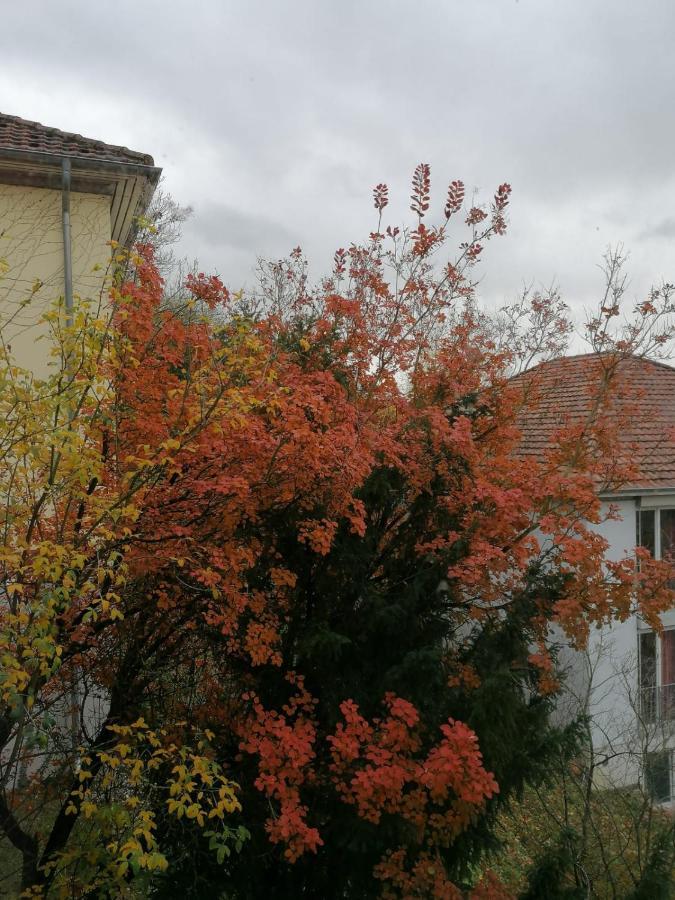 Gaestehaus Goethe-Institut שווביש האל מראה חיצוני תמונה